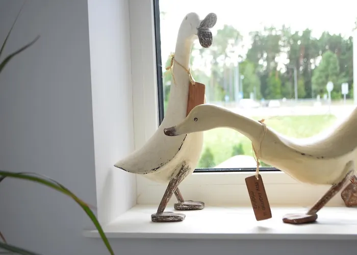 Big Mama Koala Ferienhaus